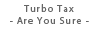 Turbo Tax