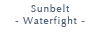 Sunbelt