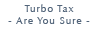 Turbo Tax